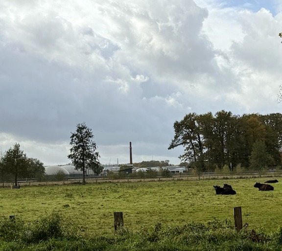 North German pasture landscape