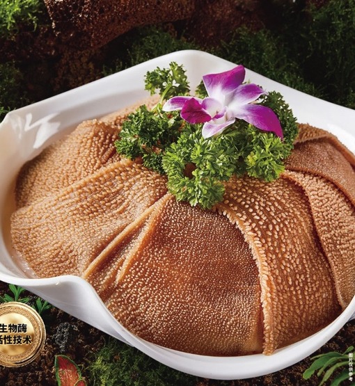 Brown omasum presentation